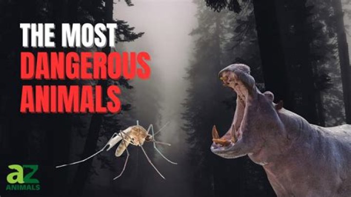 25 Of The World's Most Dangerous Animals And How They Would Kill You