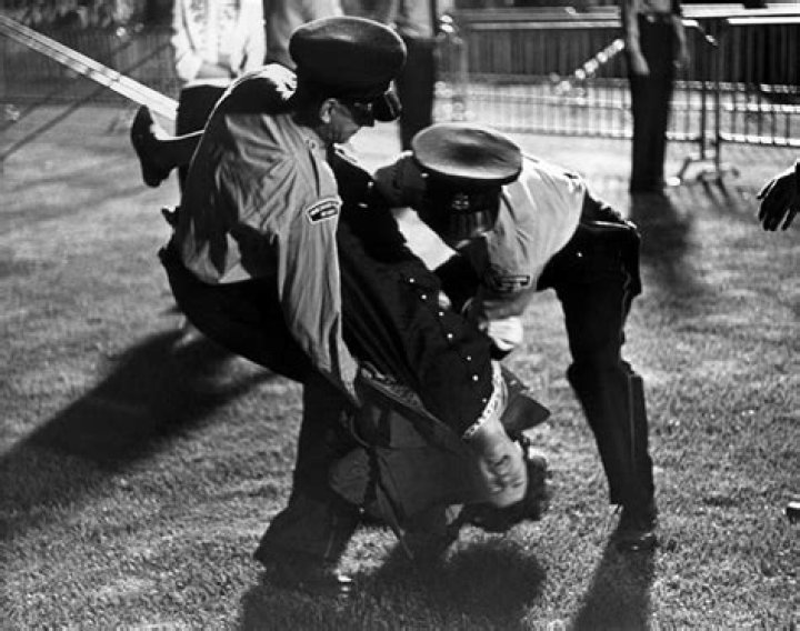 29 Photos Of The Madness That Swept 1960s America