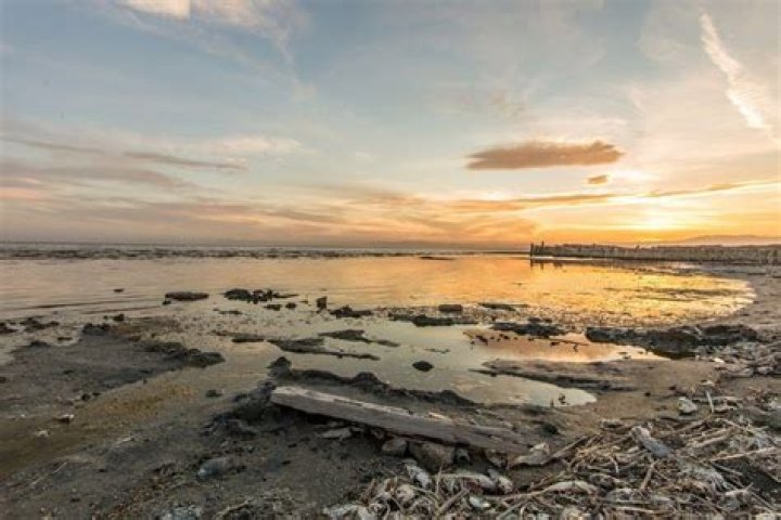33 Astounding Photos Of The Salton Sea Then And Now