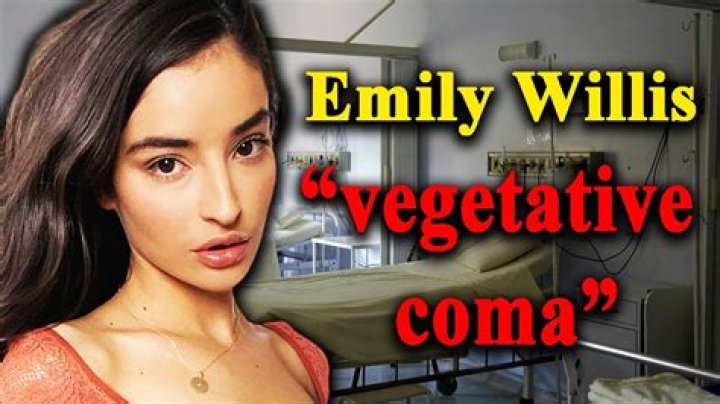 Adult Film Star Emily Willis In A Coma: Report
