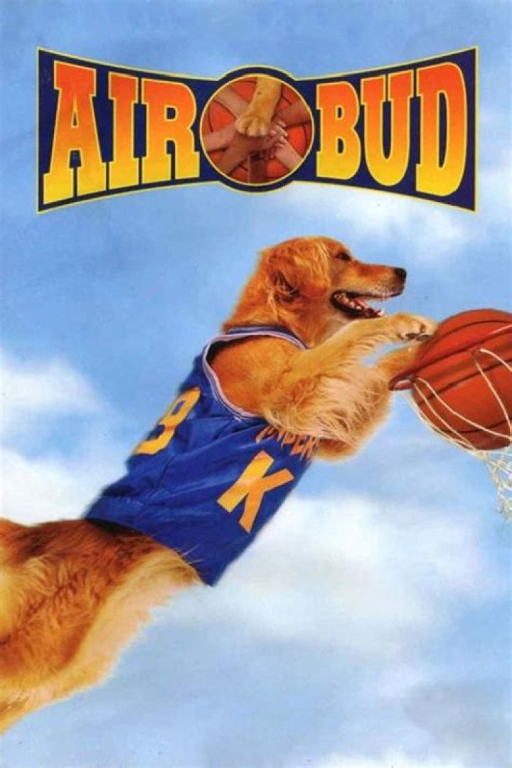 Air Bud (1997 film) - Members profile, Facts, Wiki, Achievements, Net worth 2024 (updated)