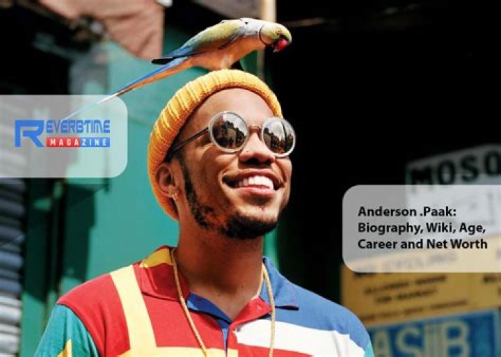 Anderson .Paak Age, Net Worth, Ethnicity