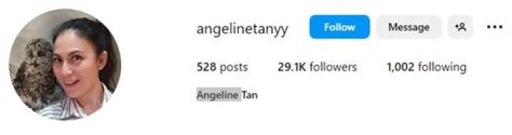 Angeline Tan Husband, Boyfriend, Children, Wiki, BIO, Age, Height, Family & More