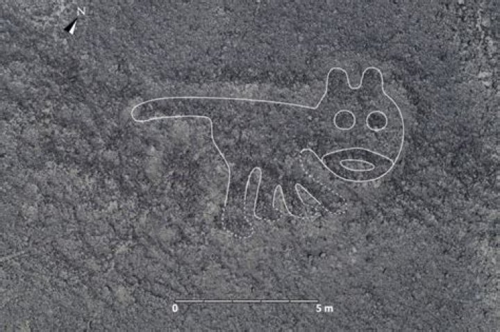 Archaeologists Unearth Cat Drawing At Peru's Famous Nazca Lines Site