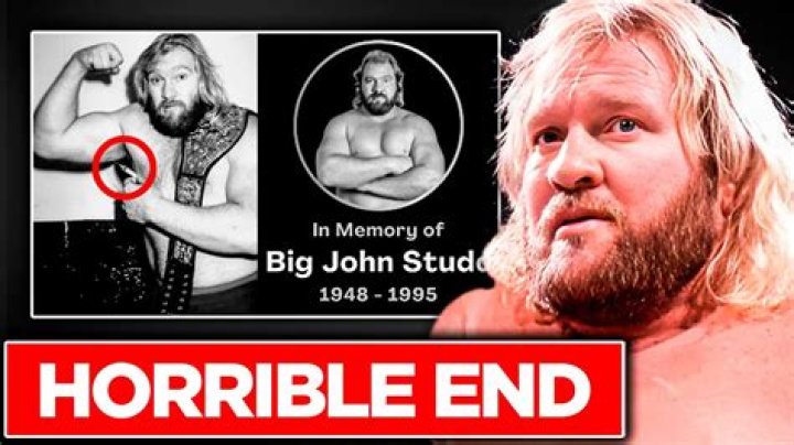 Big John Studd (Wrestler) - Age, Birthday, Bio, Facts, Family, Net Worth, Height & More