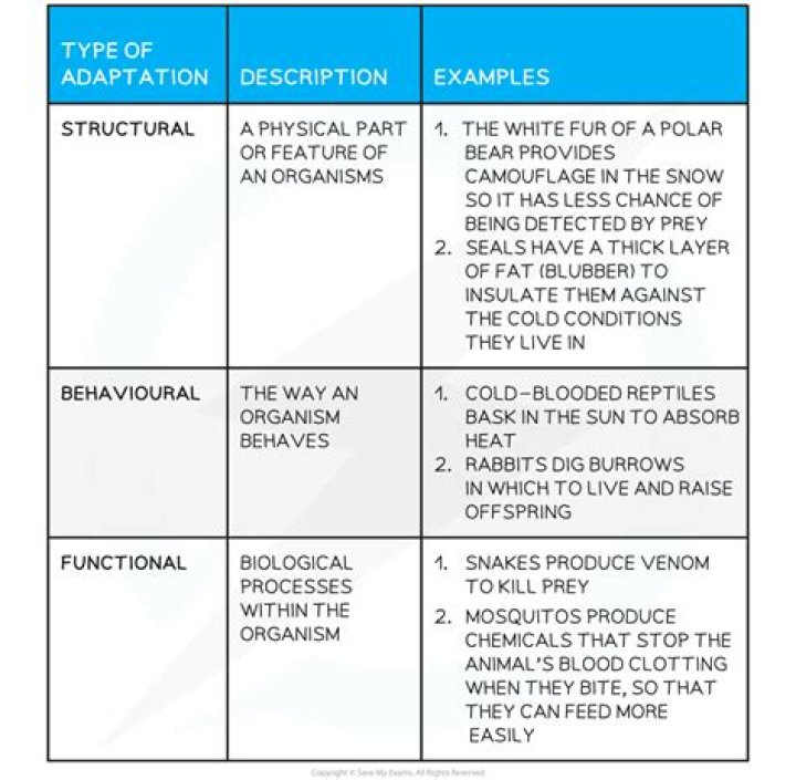 Book Adaptations Are Worth It! The ‘Conversations With Friends’ Stars Have Massive Net Worths