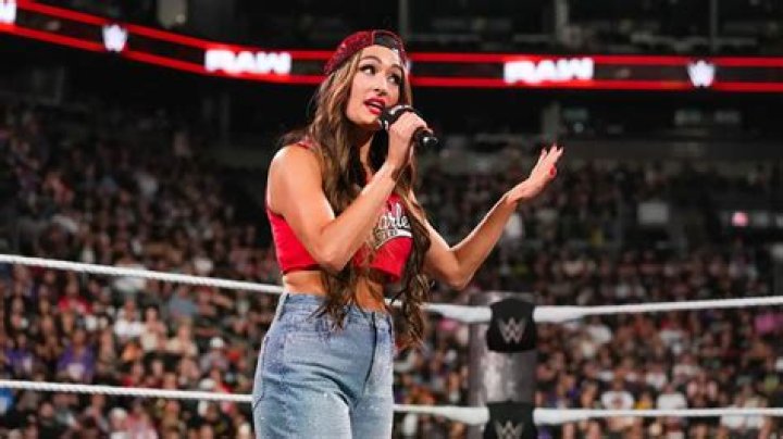 Brie Bella Explains Differences Between Her 1st and 2nd Pregnancies: ‘This One’s Been a Lot Rougher’