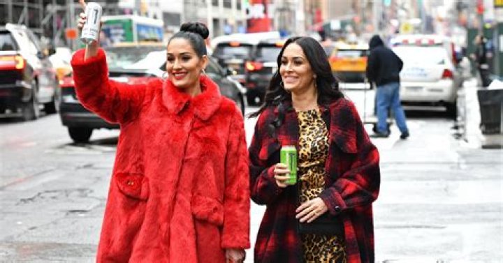 Brie & Nikki Bella Go Completely Nude For Gorgeous Joint Pregnancy Shoot