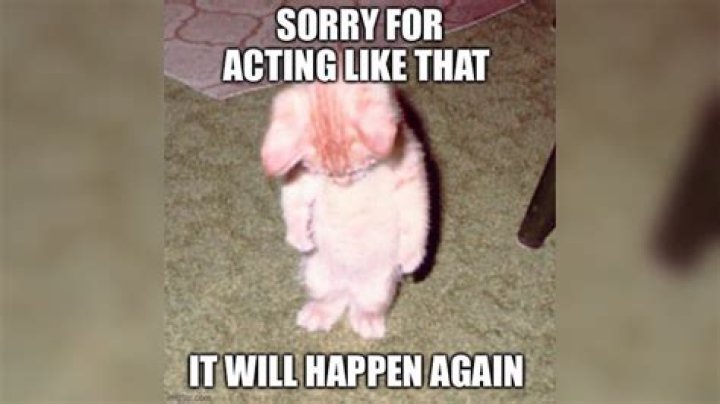 Can It Actually Happen -- And How Soon?