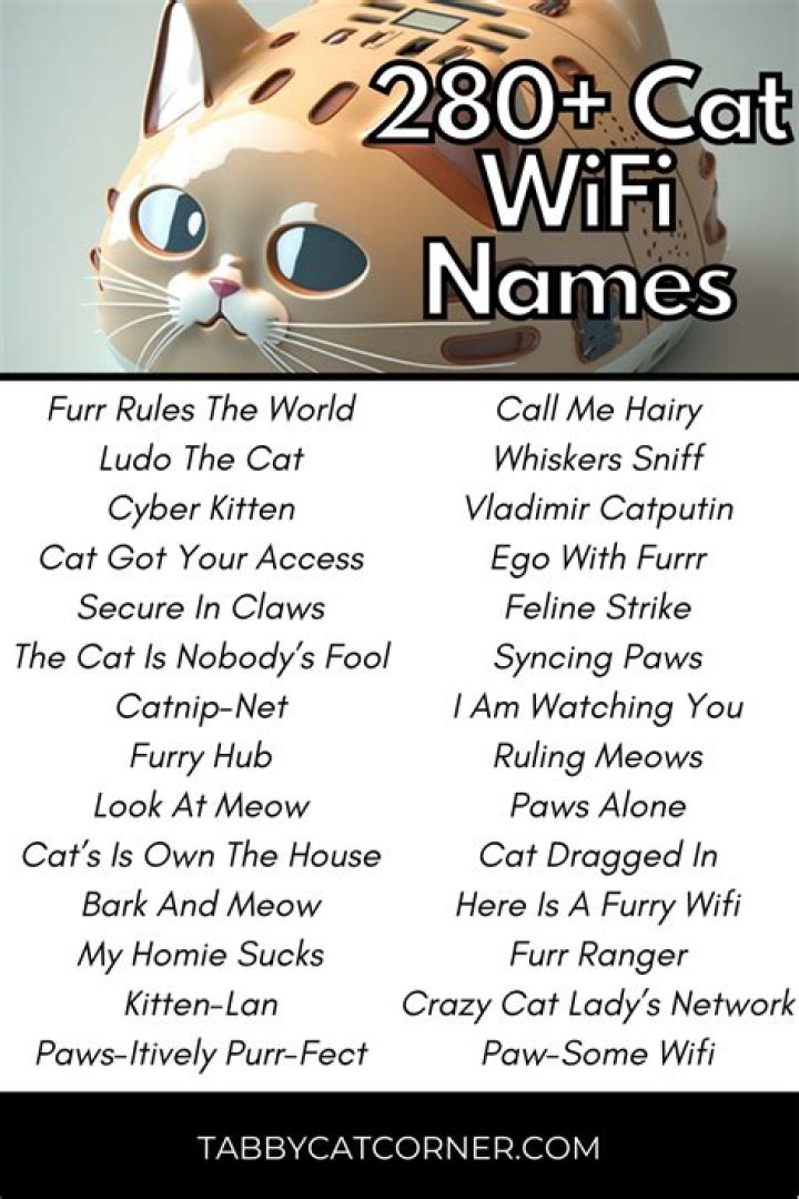 Creative and Fun Cat WiFi Names: A Complete Guide