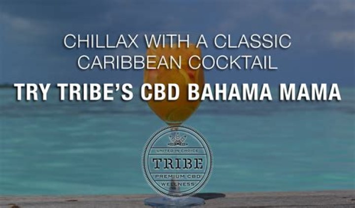 Chillax With A Classic Caribbean Cocktail – Try Tribe’s CBD Bahama Mama