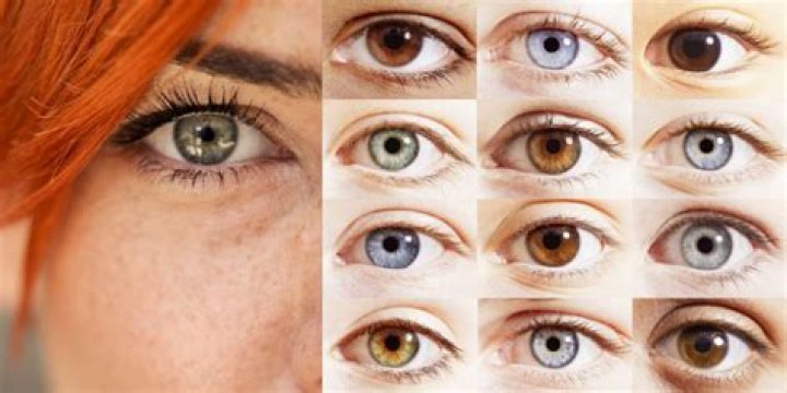 ¿Cuál es el color de ojos más raro? – Celebrity.fm