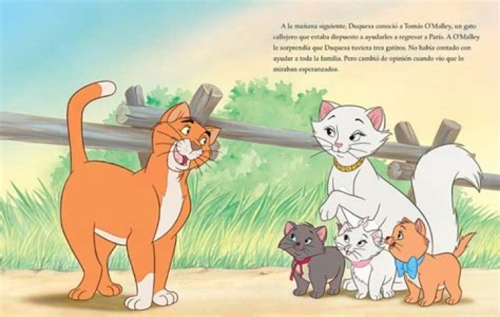 ¿Cuáles son los 3 nombres de los Aristogatos? – Celebrity.fm