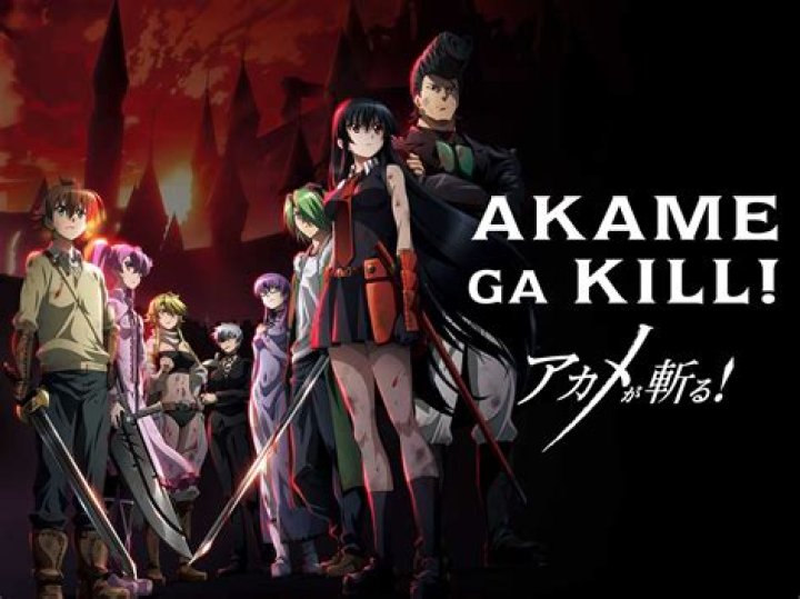 ¿Cuántas temporadas son de Akame ga Kill? - Celebrity.fm