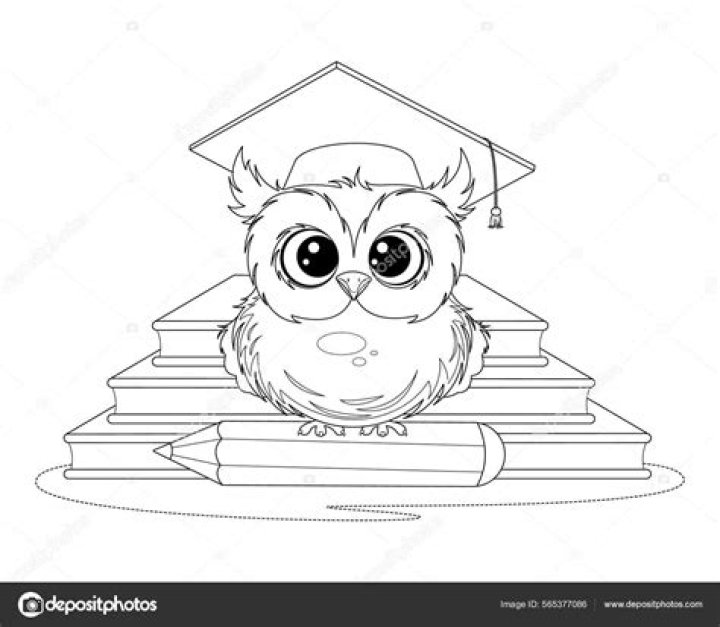 ¿Cuánto vale un búho de nieve FR?