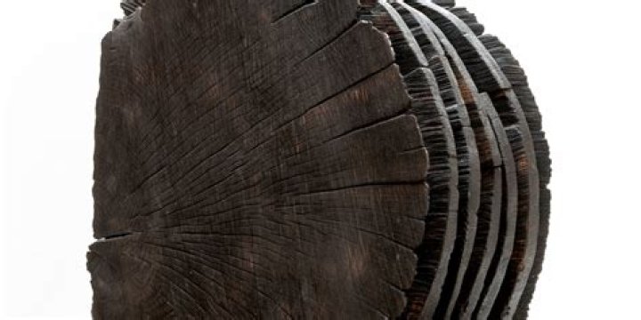 David Nash (Sculptor) - Age, Birthday, Bio, Facts, Family, Net Worth, Height & More