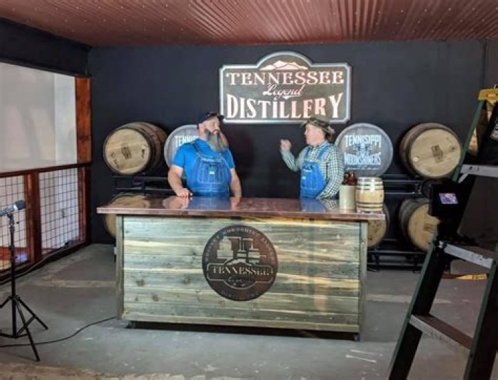 Did Mike and Jerry from Moonshiners get busted?