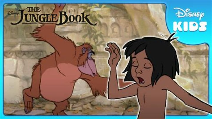 Did Mowgli’s friend died? – Celebrity.fm – #1 Official Stars, Business & People Network, Wiki, Success story, Biography & Quotes