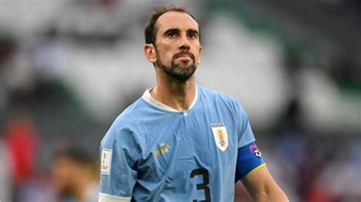 Diego Godín (Futbolista) - Edad, cumpleaños, biografía, hechos, familia, patrimonio neto, altura y más