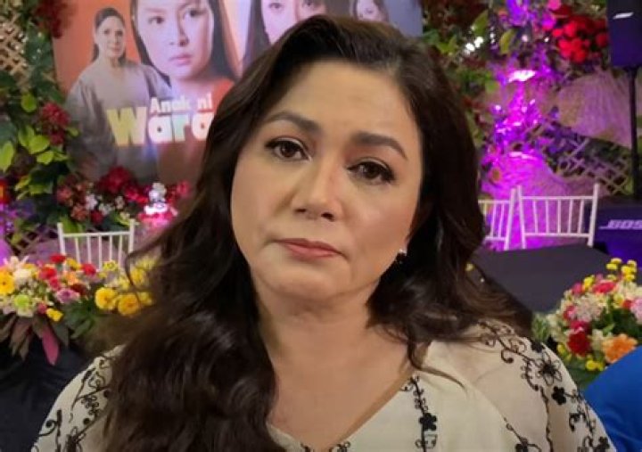 Dina Bonnevie Biography, Age, Height, Husband, Net Worth, Family