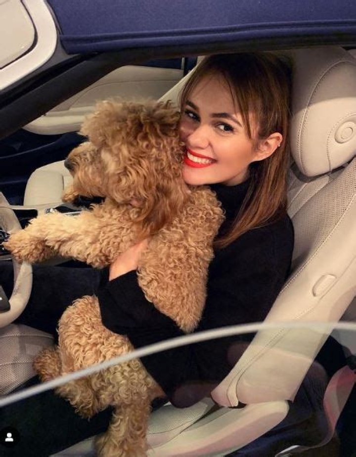 Dina Shihabi Biography, Wiki, Height, Age, Net worth, Husband, Ethnicity, Parents, Movies & More