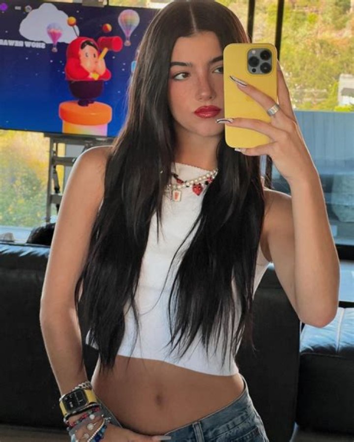 Does Charli D’Amelio have twin? – Celebrity.fm – #1 Official Stars, Business & People Network, Wiki, Success story, Biography & Quotes