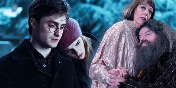 Does Harry Potter ship Drarry? – Celebrity.fm – #1 Official Stars, Business & People Network, Wiki, Success story, Biography & Quotes