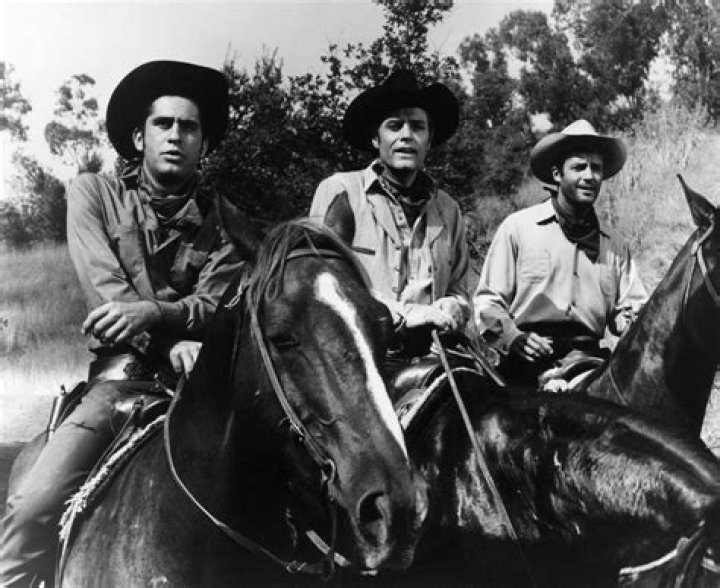 Don Galloway (TV Actor) - Age, Birthday, Bio, Facts, Family, Net Worth, Height & More