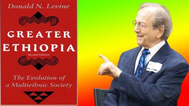 Donald N. Levine (Novelist) - Age, Birthday, Bio, Facts, Family, Net Worth, Height & More