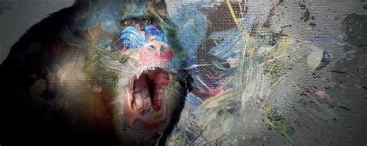 El Patron Video: Unveiling the Legacy of a Legend