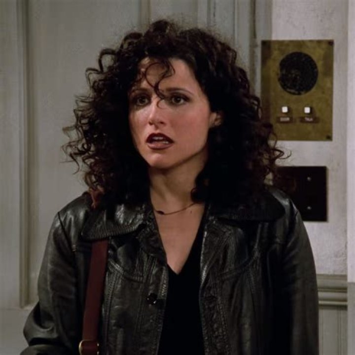 Exploring the Iconic Character of Elaine Benes: A Deep Dive into Her Role in Seinfeld