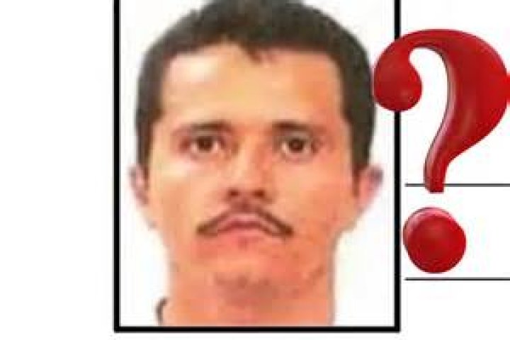 Elsa Oseguera biografía, edad, altura, esposa, net worth, familia