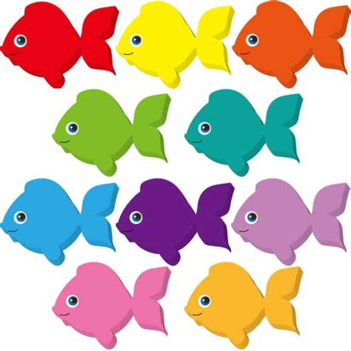 ¿Es cruel tener peces de colores? – Celebrity.fm
