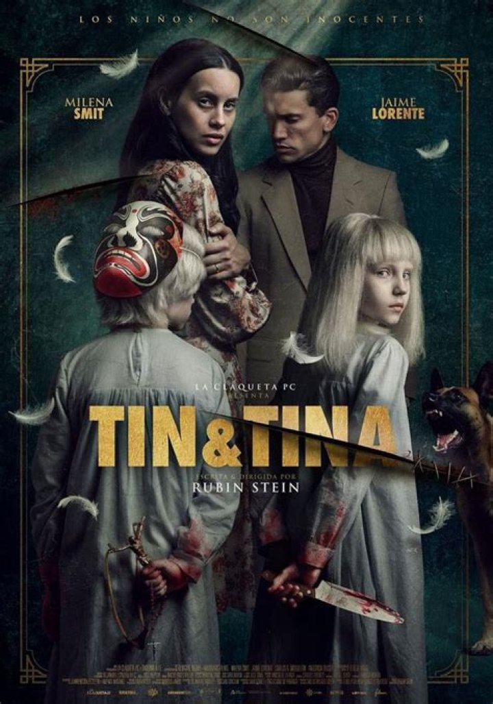 ¿Está la película Tina en Netflix? – Celebrity.fm