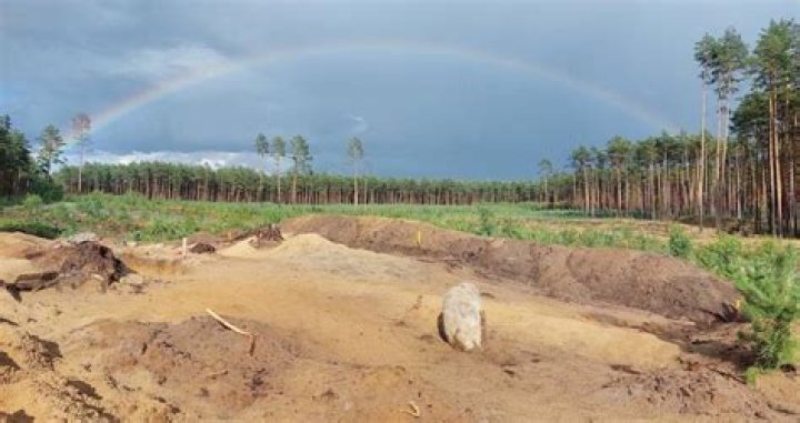 Gothic Graveyard Filled With Grave Goods Discovered In Poland