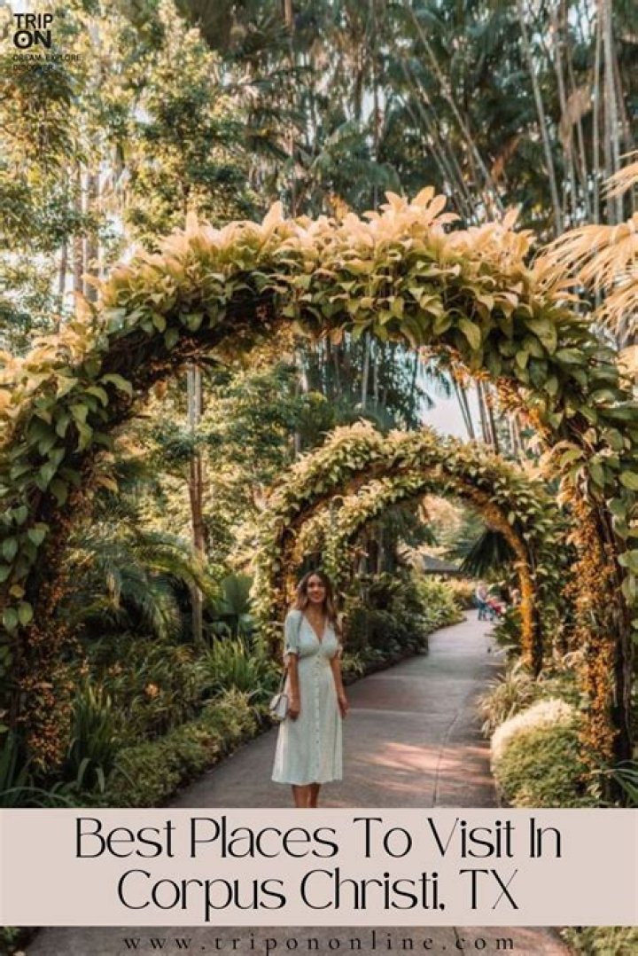 Greatest Places to fulfill Women in Your City – Celebsgraphy