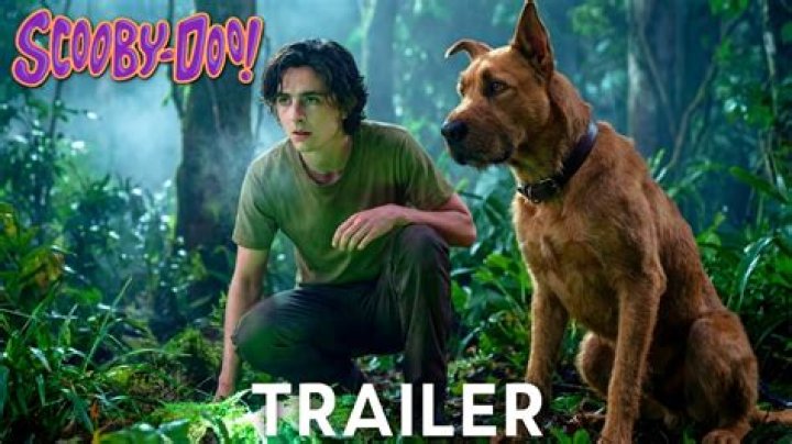 ¿Habrá Scooby Doo 3? – Celebrity.fm