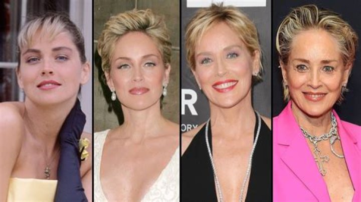 Has Sharon Stone Undergone Plastic Surgery? Her Transformation, What Work She’s Revealed