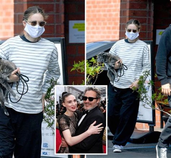 How is Rooney Mara so skinny? – Celebrity.fm – #1 Official Stars, Business & People Network, Wiki, Success story, Biography & Quotes