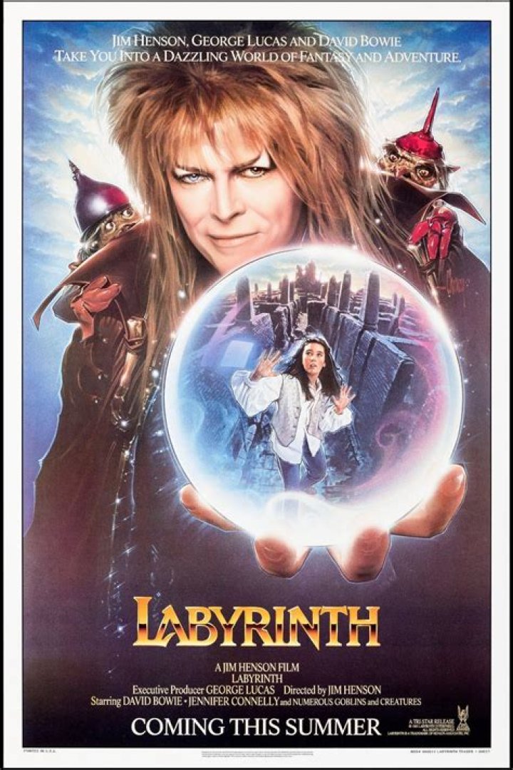 How much is labyrinth The singer worth?