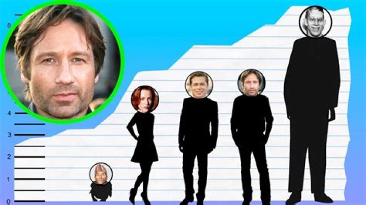 How tall is David Duchovny