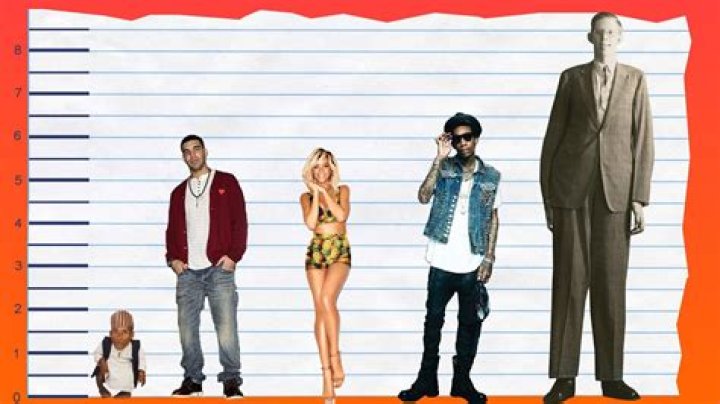 How tall is Drake