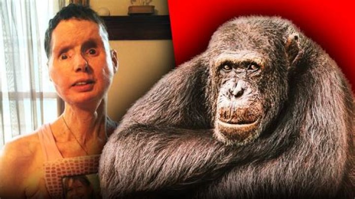 Inside Travis The Chimp's Gruesome Attack On Charla Nash