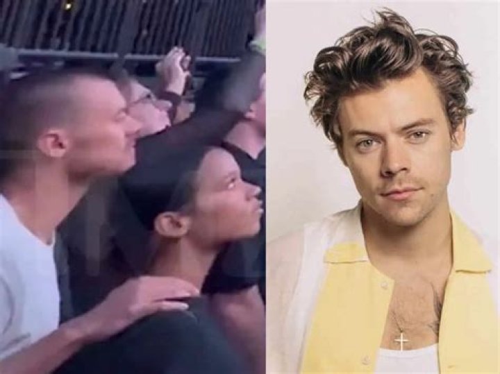 Is Harry Styles vegan? – Celebrity.fm – #1 Official Stars, Business & People Network, Wiki, Success story, Biography & Quotes