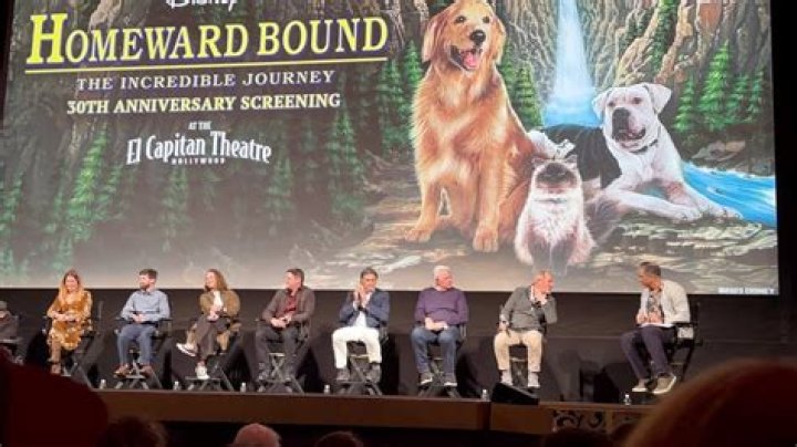 Is homeward bound on Netflix 2020? – Celebrity.fm – #1 Official Stars, Business & People Network, Wiki, Success story, Biography & Quotes