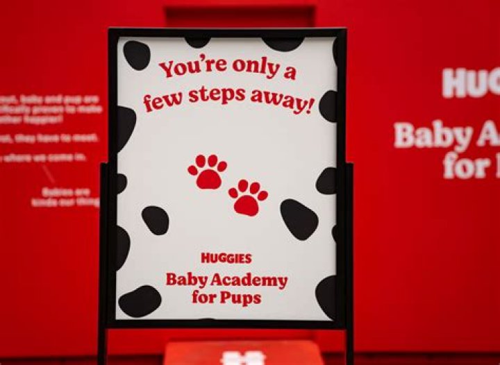 Jamie Chung Attends Huggies First-Ever Baby Academy Event for Puppies