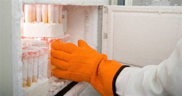Janitor Destroys 20 Years Of Work By Turning Off Lab Freezer