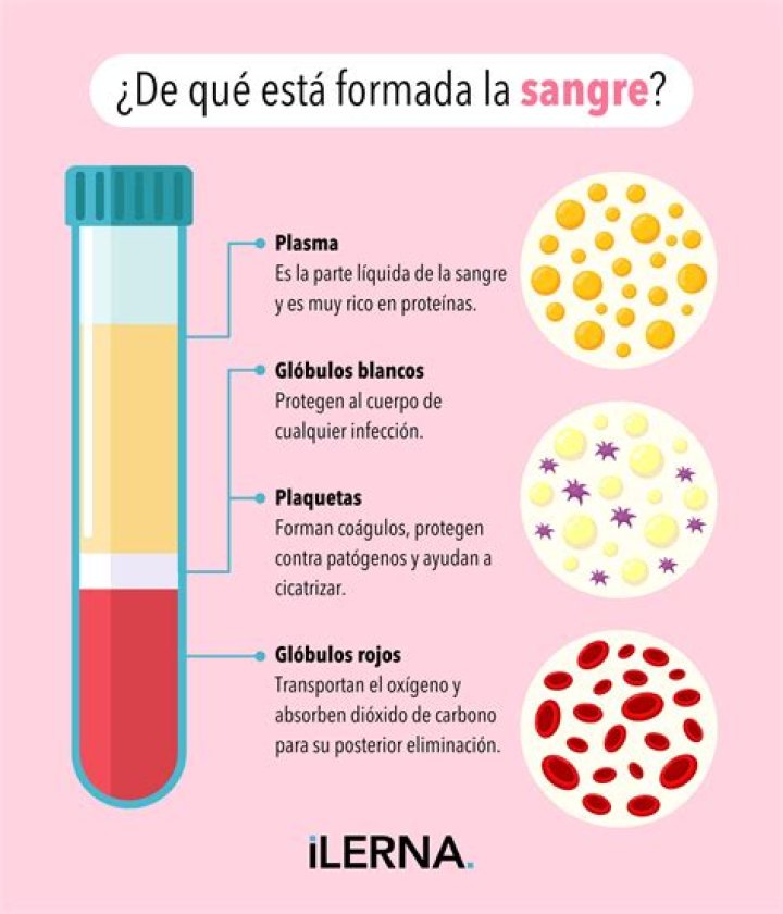 ¿La sangre en la sangre es realmente 5 horas? – Celebrity.fm