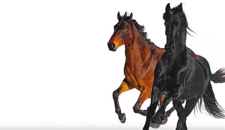 Lil Nas X & Billy Ray Cyrus Bring Even More Country To "Old Town Road" With Remix