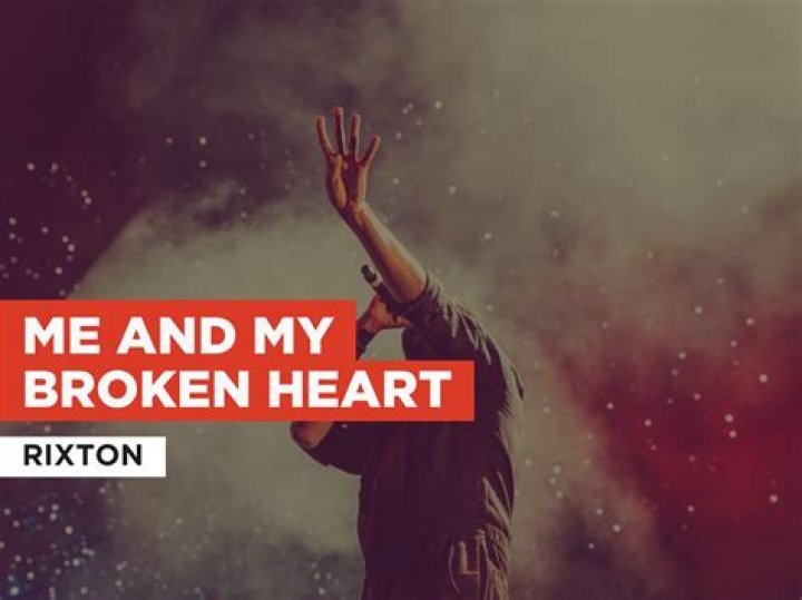 Me and My Broken Heart (Remix)